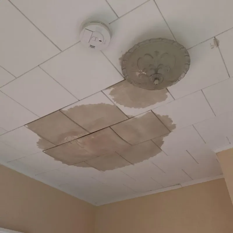 Ceiling Water Damage Repair in Blacksburg, VA