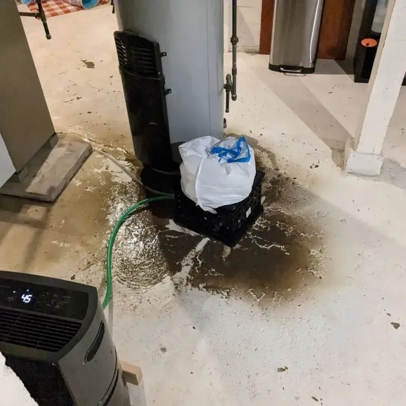 Sewage Backup Cleanup Service in Blacksburg, VA